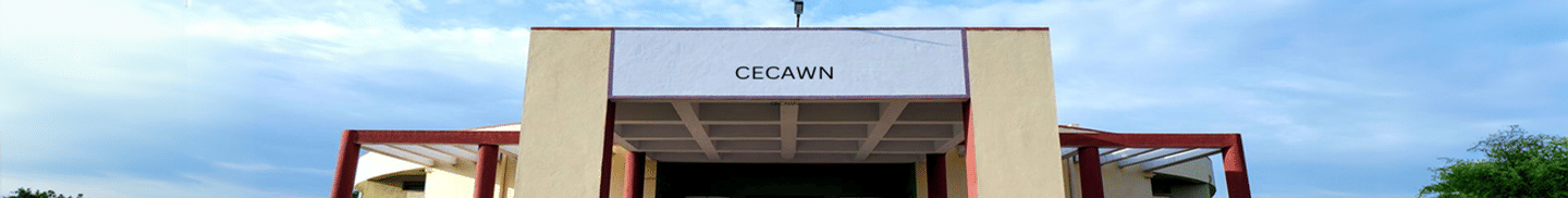 Competitive Exams Coaching Academy for Women (CECAW), Pune